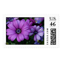 Purple & Lavendar Flowers Stamps