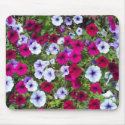 Purple & Lavender Flowers: mousepads