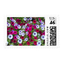 Purple & Lavender Flowers: postage