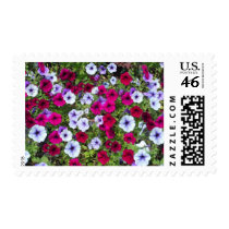 Purple & Lavender Flowers: postage by spiritswitchboard Purple & Lavender Flowers: postage