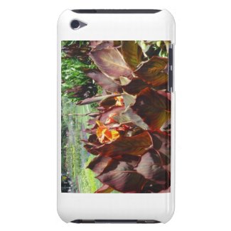 Purple Leaf Cannas iTouch Case casematecase