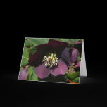 Purple Lenten Rose Card