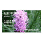 Purple Liatris Business Card