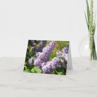 Purple Lilac 4 note cards card