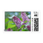Purple Lilac Flowers Postage Stamp