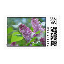Purple Lilac Flowers Postage Stamp