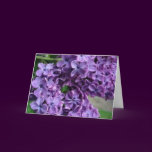 purple lilac greeting card