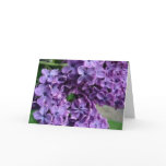 purple lilac greeting card