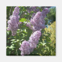 Purple Lilac magnet