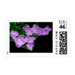 Purple Lilac Postage
