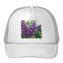 Purple Lilacs Baseball Hat