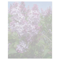 Purple Lilacs Fade25 Customized Letterhead