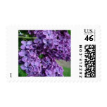 purple lilacs postage