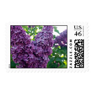 Purple Postage Stamps