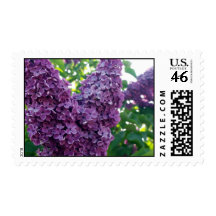 Purple Lilacs Postage Stamps