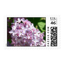 Purple Lilacs  US Postage Stamp