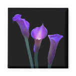 purple, flowers, cute