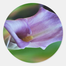 Purple lily of the Valley and meaning Round Sticker
