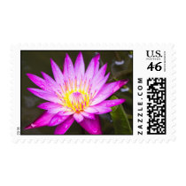 Purple Lily postage