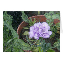 Purple Lisiantha Flower Cards
