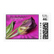 Purple Lisianthus stamp