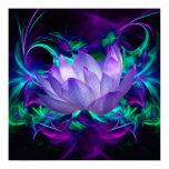lotus, lily, flowers, flower, floral, flower