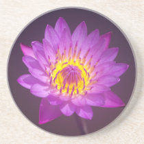 Purple Lotus Flower Beverage Coaster