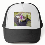 Purple Lotus Flower Drawing hats