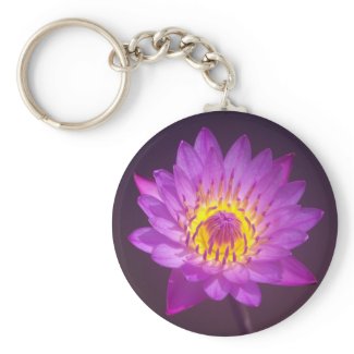 Purple Lotus Flower