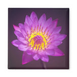 Purple Lotus Flower Refrigerator Magnet