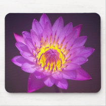 Purple Lotus Flower Mouse Mats