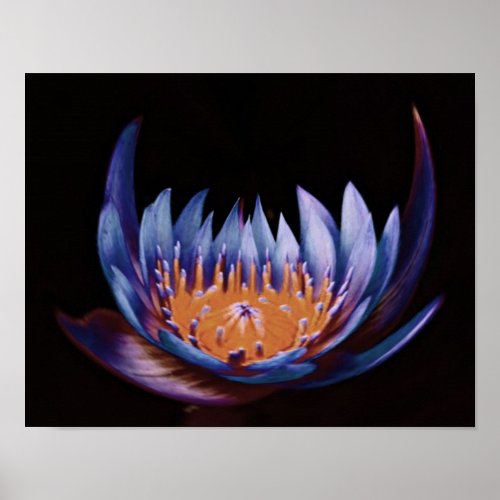 Purple-Lotus-Flower print