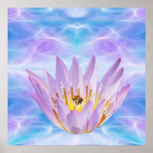 Purple Lotus flower Poster | Zazzle