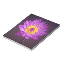 Purple Lotus Flower Scratch Pads