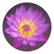 Purple Lotus Flower Round Stickers