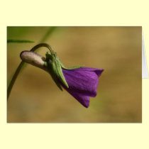 Purple Love cards by Rainmountain Purple Love cards
