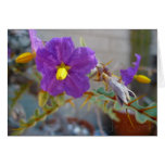 Purple Maggie Products Greeting Cards