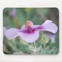 Purple Mallow Mousepad