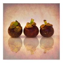 Purple Mangosteens Print