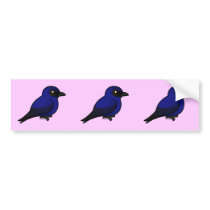 Purple Martin Bumper Sticker