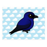 Purple Martin Postcards