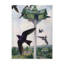 Purple Martins and Their Birdhouse Post Card