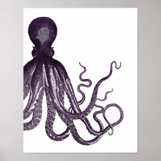 purple mood octopus