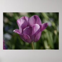 Purple moment poster