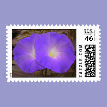 Purple Morning Glory Duo postage stamps