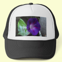Purple Morning Glory hats
