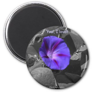 Purple Morning Glory-Magnet magnet