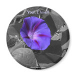 Purple Morning Glory-Magnet magnets