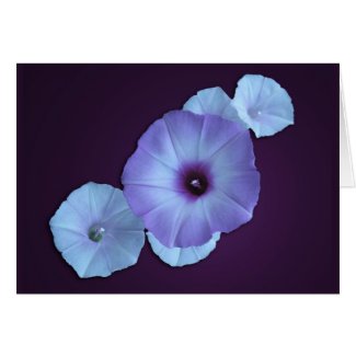 Purple Morning Glory Note Card