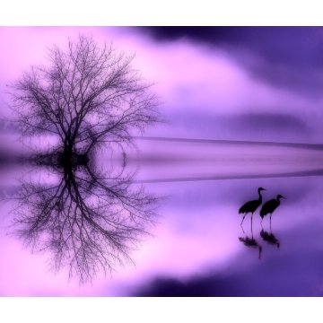 Purple Morning Mouse Pad mousepad